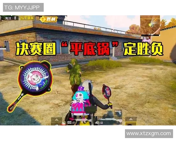 和平精英热议LNG战队比赛经验引发的争议与讨论分析