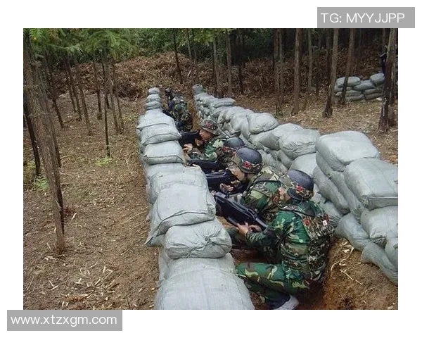 深入分析杭州飞盘队的阵地战策略与战术执行细节