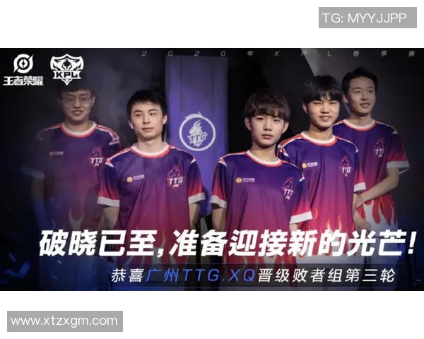 深入探讨王者荣耀中WE战队的团队配合与战术策略分析