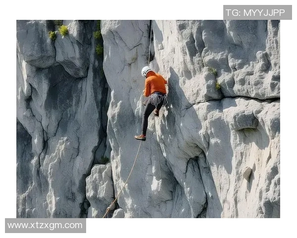 武汉攀岩队的节奏探秘：深度解析攀岩运动的魅力与挑战