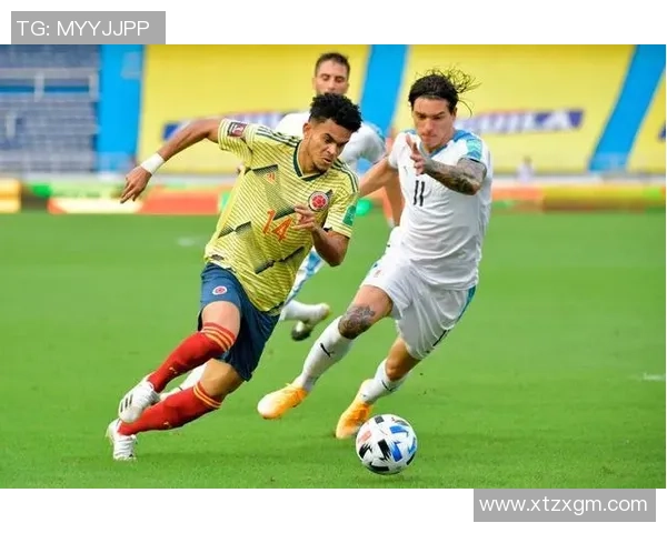 广州排球队耐力问题引发热议球迷与专家观点交锋分析